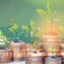 Clean energy infrastructure funded by green finance in India